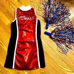 CHEERLEADER Chicago LuvABulls Outfit/ Costume with Pom Poms